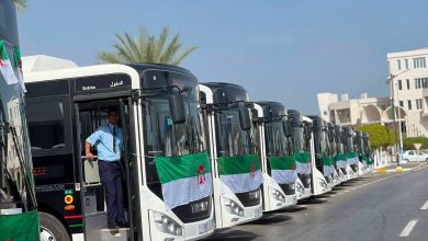 El Tarf Receives 20 New Buses for Public Transport