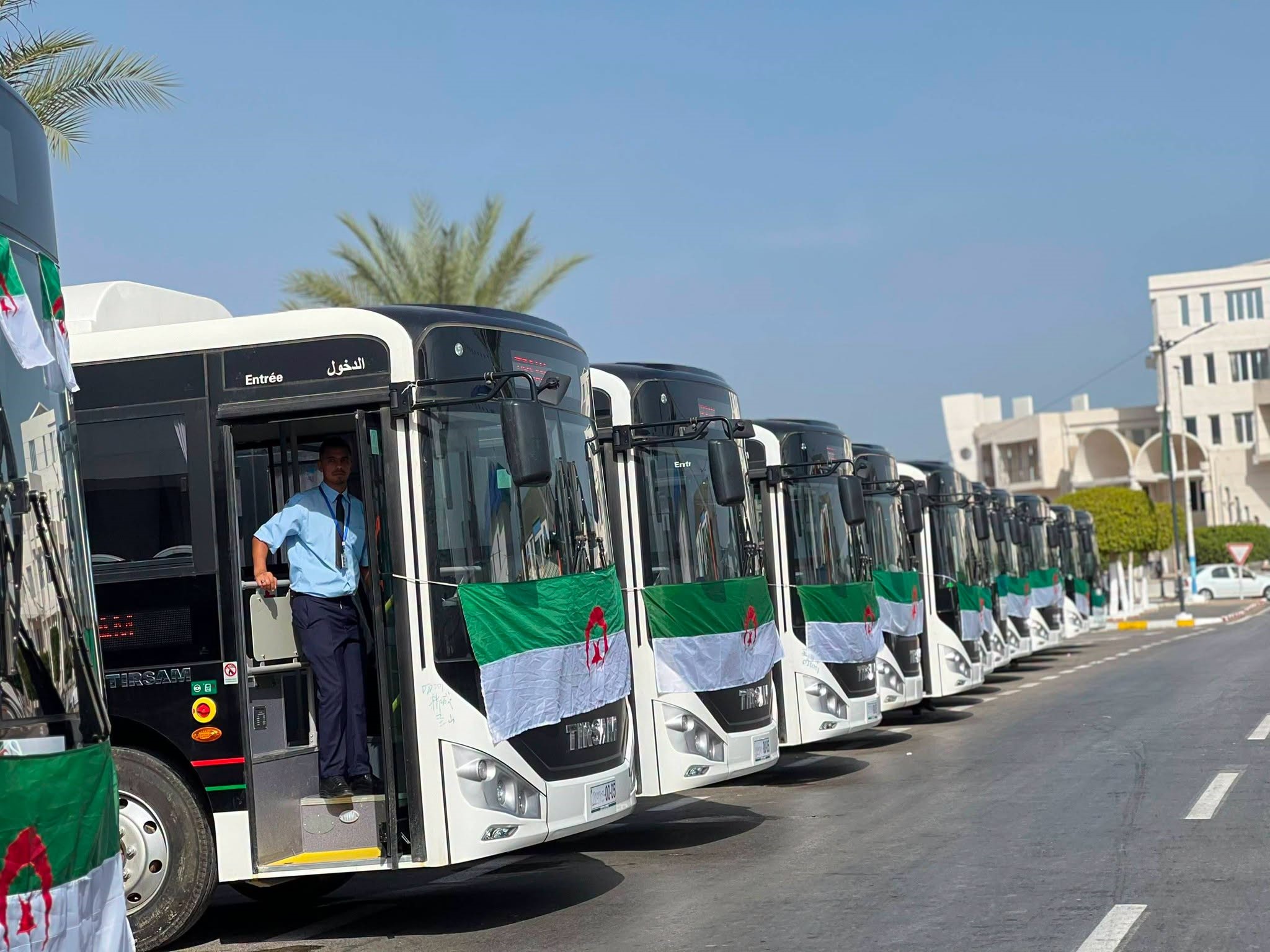 El Tarf Receives 20 New Buses for Public Transport