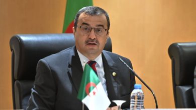 Algeria's Integrated Phosphate Project Enters Realization Phase, Boosting Strategic Output