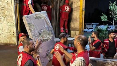 Citizen-Led Solidarity Rises for Jijel Fire Victims