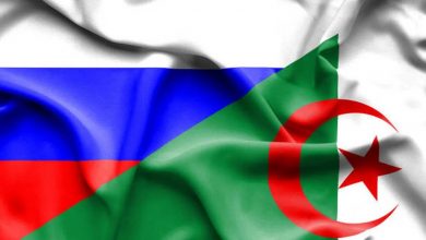 Nuclear Energy Projects with Russia Begin in Algeria by 2025