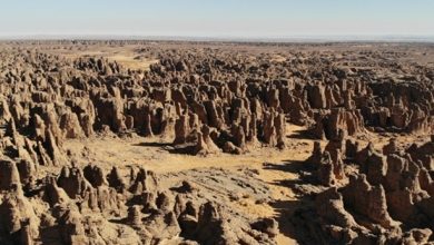 Prehistoric Art Treks Set for Tassili N'Ajjer