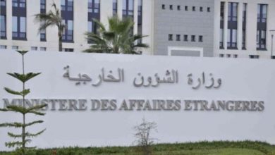 Arab, Islamic Nations Condemn Israeli Airstrikes on Syria