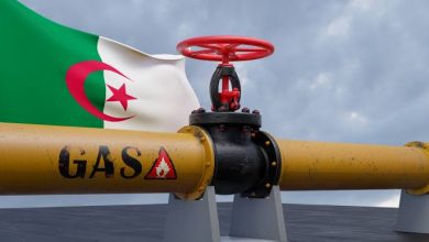 Nigerien Petroleum Development Gains Algerian Expertise
