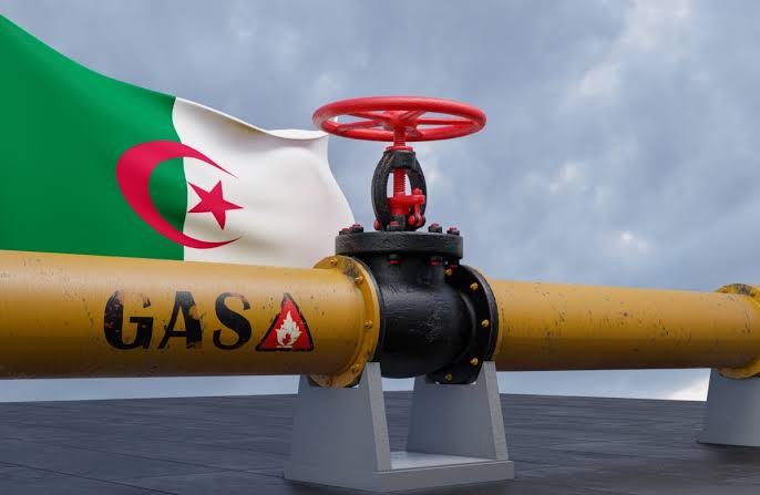 Nigerien Petroleum Development Gains Algerian Expertise