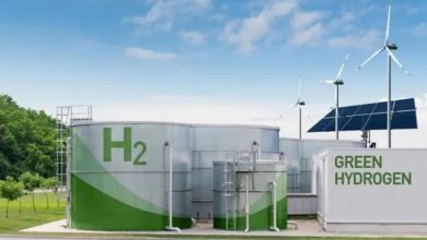 German Expertise Key to Algeria's Green Hydrogen Ambition