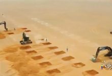 Adrar mega-farm targets 100,000 tons powdered milk yearly