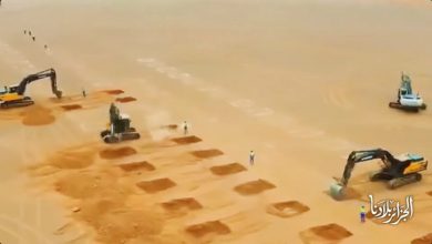 Adrar mega-farm targets 100,000 tons powdered milk yearly