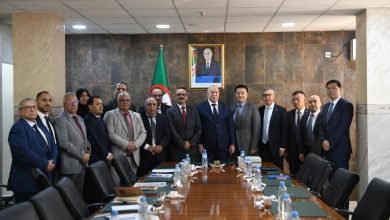 China Baowu Partners Algeria for El Hadjar Steel Revival