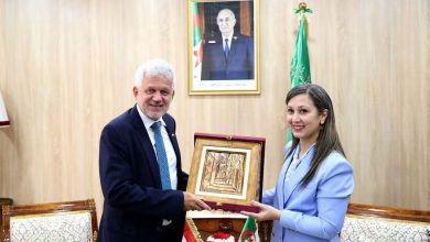 APN President Boufadagh, Austrian Envoy Discuss Enhanced Cooperation