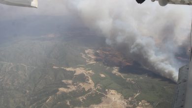 Fifth Military Region Mobilizes Resources to Combat Wildfires