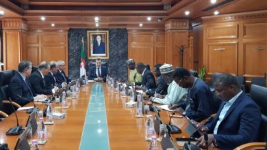 Niger's Bilma Oil Block Feasibility Set for Sonatrach Review