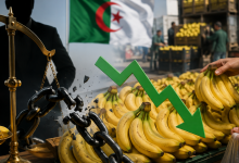 Ministry of Trade Expands Banana Import Programs