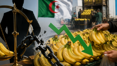 Ministry of Trade Expands Banana Import Programs
