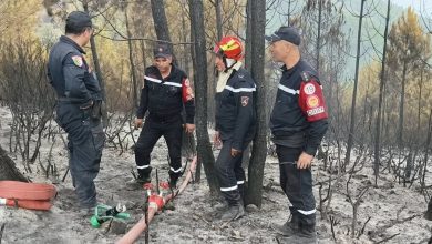 State Aid for Forest Fire Victims Begins August 18