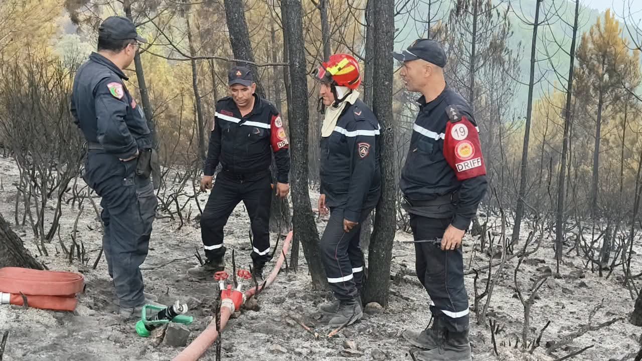 State Aid for Forest Fire Victims Begins August 18