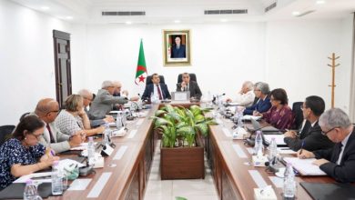 Efficiency, Cooperation Key to Energy Sector Development