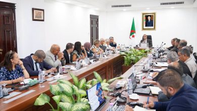 Minister Adjal Guides Energy Partnership Review for Three Nations