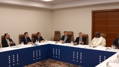 Minister Zerrouki Seeks AI, Tech Partnerships with Senegal, Ghana