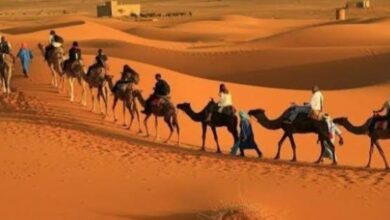 Diverse Landscapes Offer Year-Round Tourism Opportunities in Algeria