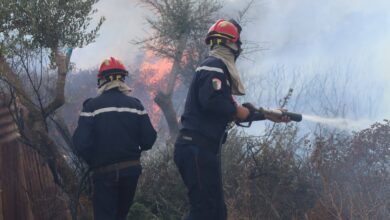 State Commends Civil Protection Efforts with Salary Increase