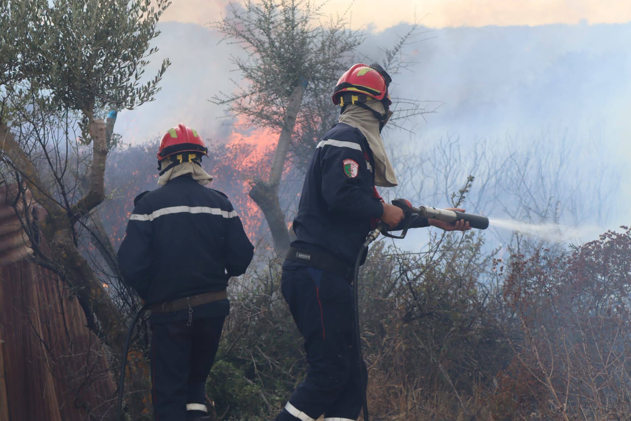 State Commends Civil Protection Efforts with Salary Increase