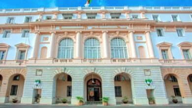 African Belonging Central to Algeria's Foreign Policy, Council States