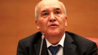 Expert Highlights Trans-Saharan Gas Pipeline for Algeria-Niger Cooperation