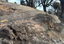 State Launches Plan to Restore Wildfire-Hit Vital Networks