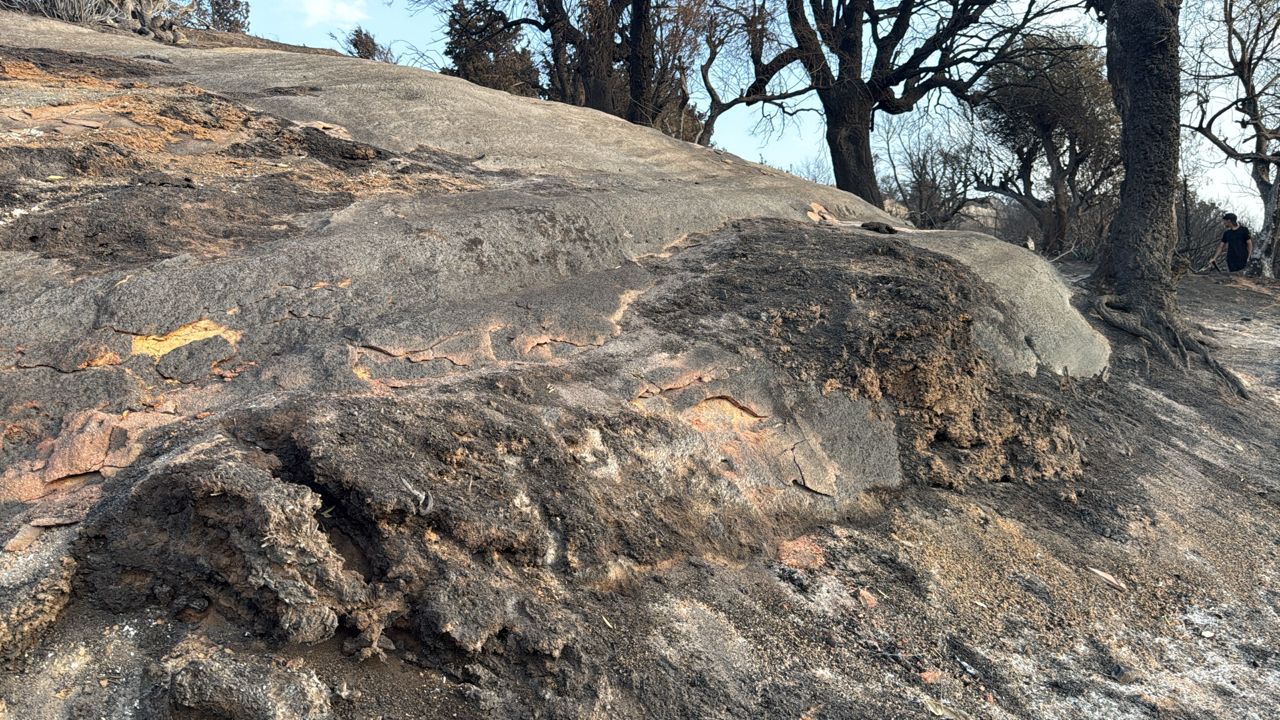 State Launches Plan to Restore Wildfire-Hit Vital Networks