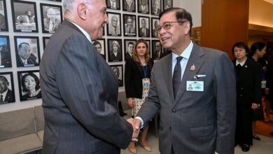 Thai Deputy Prime Minister Meets Attaf on Cooperation