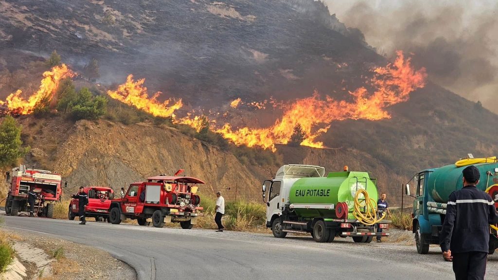 Tebboune Mandates Death Penalty for Forest Arson