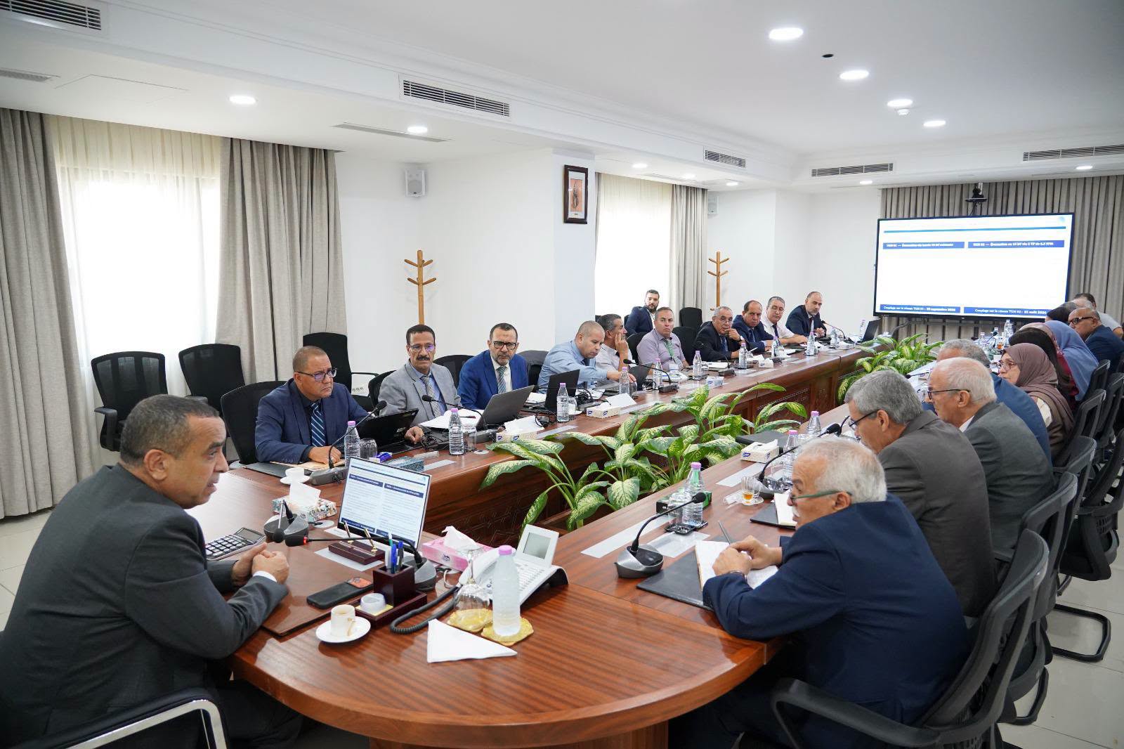 Minister Adjal Directs Accelerated Renewable Energy Transition