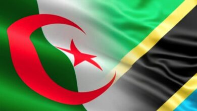 Tanzanian Ambassador Highlights Algeria as Africa's Top Pharmaceutical Producer