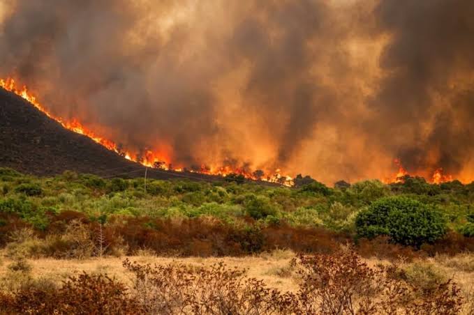 Commerce Minister Directs Essential Supply Continuity in Wildfire Regions
