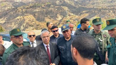 Walis Oversee Damage Assessment in Affected Regions