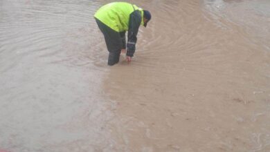 Interior Ministry Coordinates Tébessa Flood Relief Efforts