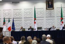 Italy, Algeria Deepen Cooperation in Agricultural Digitization