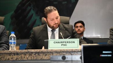AU Peace Council Presidency Concludes Strong Algerian Diplomacy