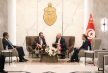 Tunis Meeting Discusses Digital Health, Telemedicine Expertise