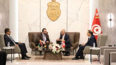 Tunis Meeting Discusses Digital Health, Telemedicine Expertise