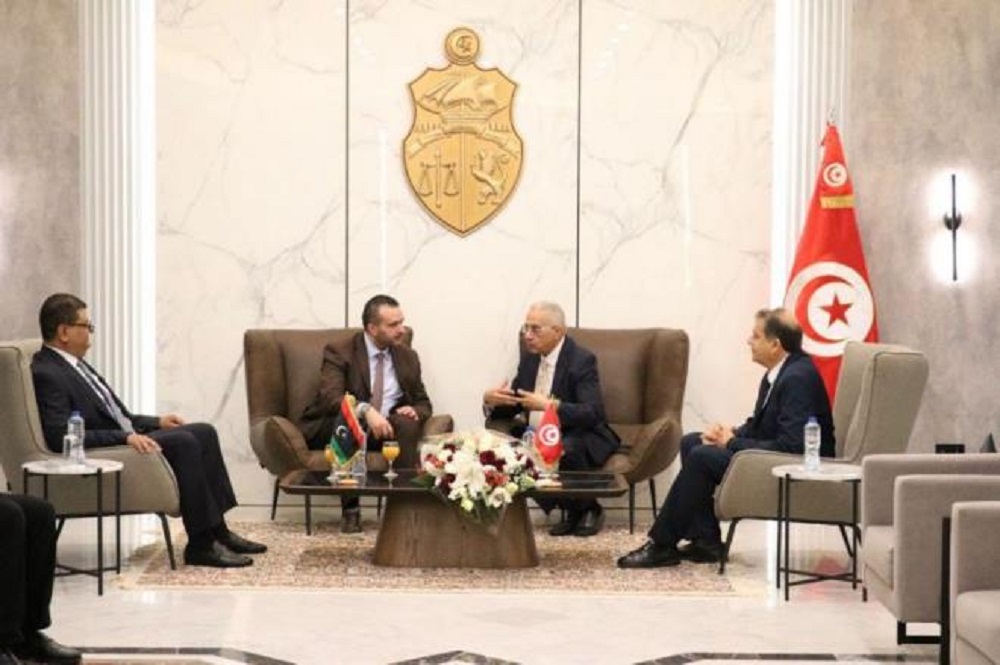 Tunis Meeting Discusses Digital Health, Telemedicine Expertise