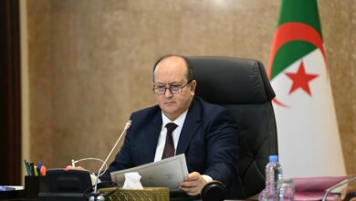 Prime Minister Gharib Chairs Adoption of Anti-Gang, Digital Plans