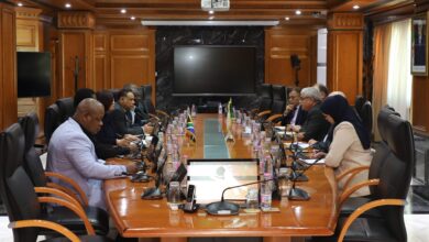 Algiers Hosts South Africa for Hydrocarbons Cooperation