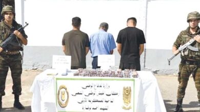 President Tebboune's Vision Drives Algeria's Pivotal Regional Role