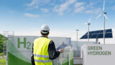African Renewable Energy Expansion to Be Led by Algeria