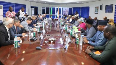 Minister Arkab Discusses Trans-Saharan Gas Pipeline Studies with Niger