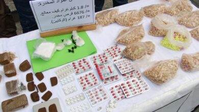 Criminal Network Dismantled in Blida, Eight Arrested