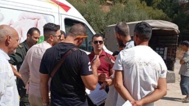 Livestock, Beehives Distributed to Bouira Fire Victims