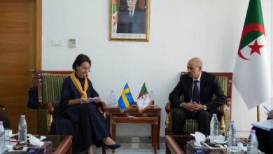 Bilateral Talks Aim to Expand Algeria-Sweden Industrial Ties